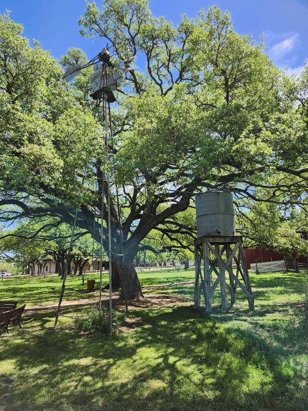 Windmill and water tank at Lyndon Johnson's boyhood home in Johnson City, Texas.