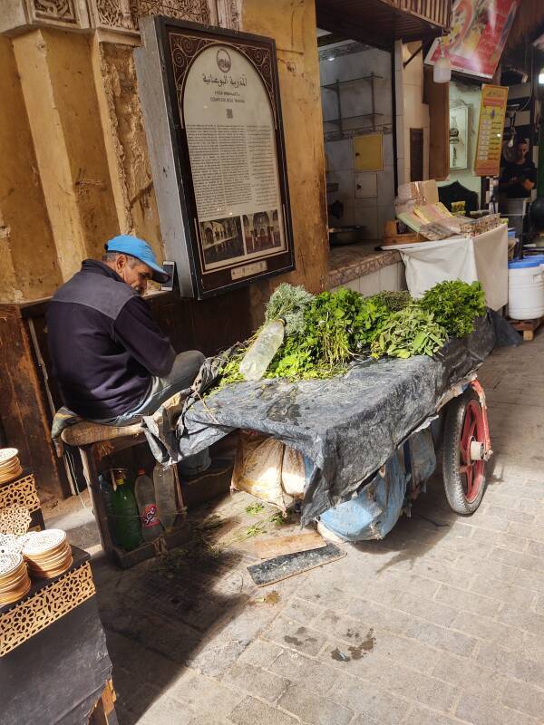 Man selling spearmint and other plants at the ablutions and water clock house at the Bou Inania Madrasa in Fez.