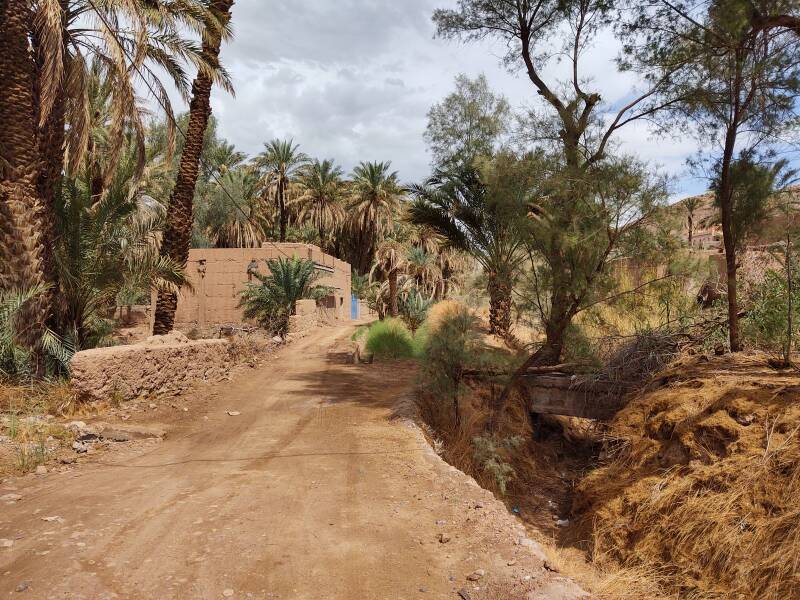 Irrigation channels in the date palm oasis at Zagora.