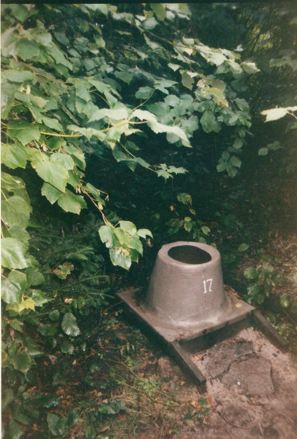 Pit toilet in the bushes, in the Boundary Waters National Canoe Area.