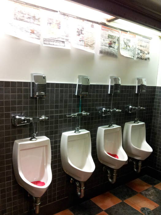 Urinals in Darcy McGee's in Ottawa.