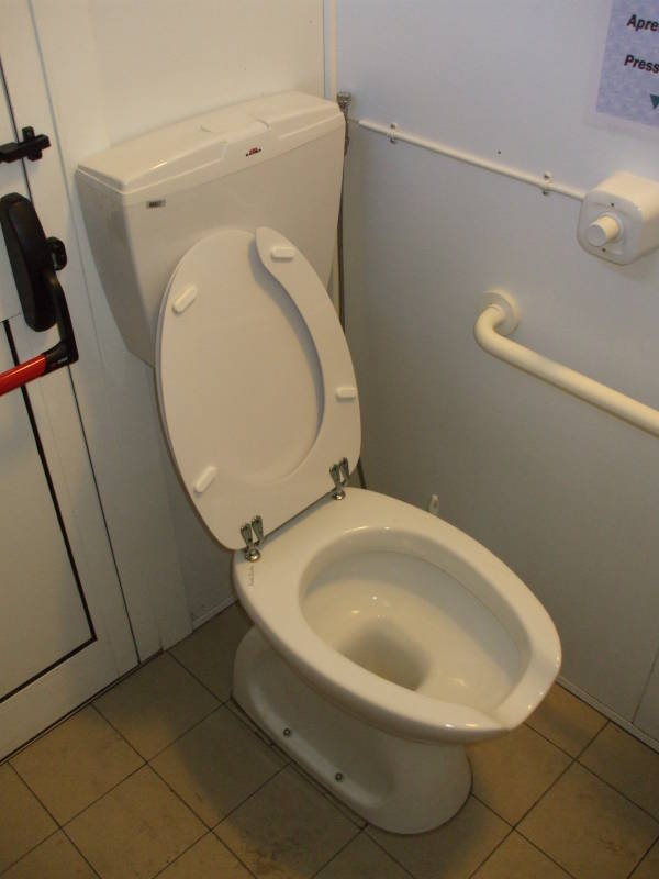 Italian truckstop toilet.