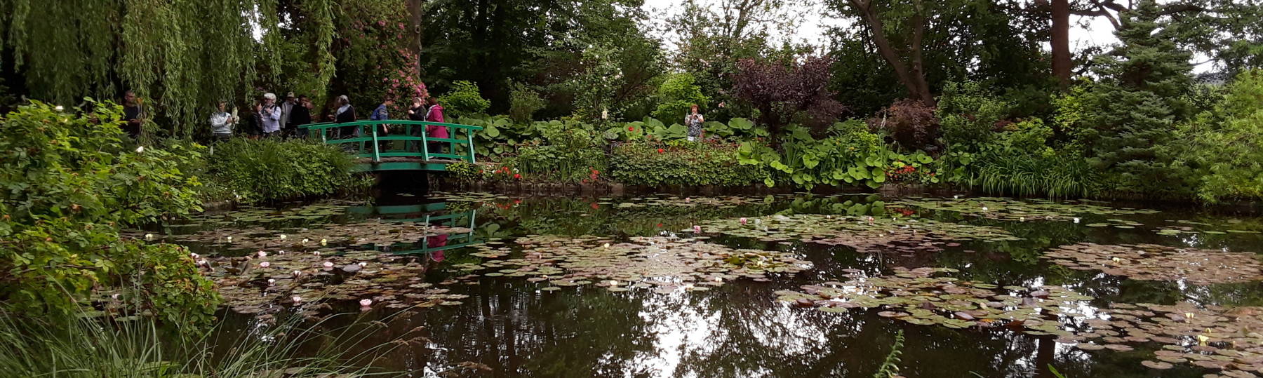 Claude Monet's water garden.