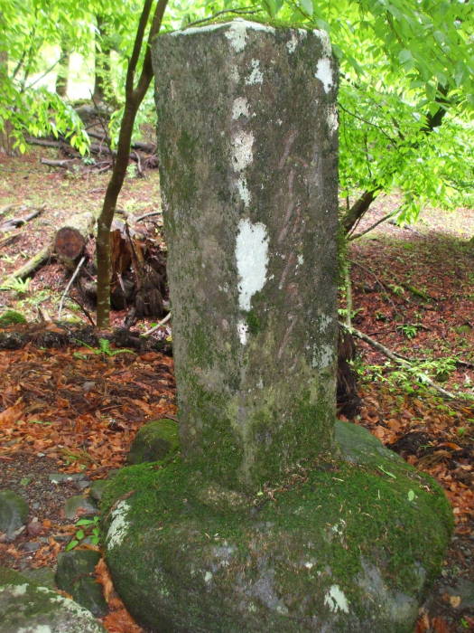 Dai-shoben-kinzei-no-sekihi forbidding urination along the path north of Nikkō to the Shiraito Falls and the Takino Shrine.