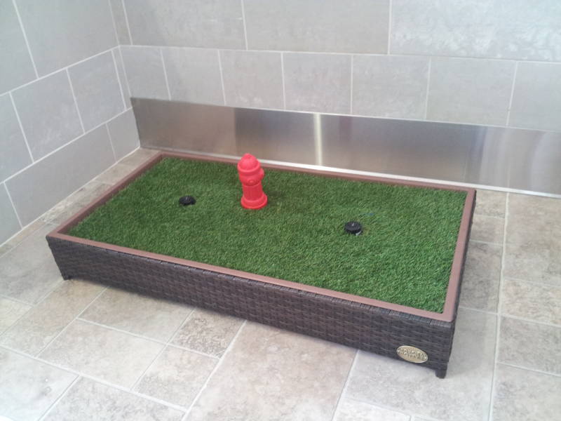 A Doggy Toilet at Detroit Metropolitan Wayne County Airport. A similar toilet was found inside the WoofBus. 