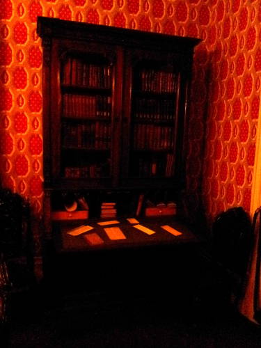 Library of Theodore Roosevelt's childhood home at 28 East 20th Street in New York.