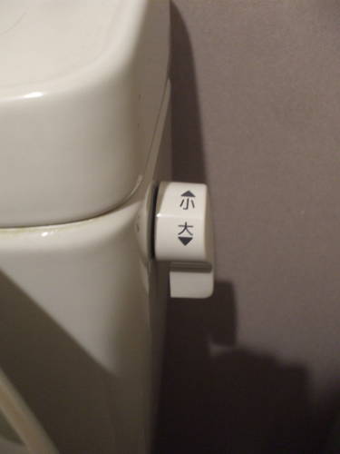 Dual-flush toilet handle in Tokyo.