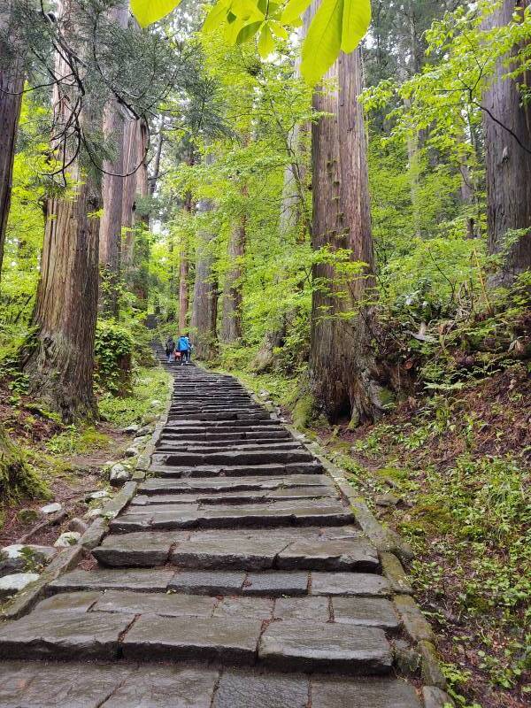 2,446 step trail up Mount Haguro.