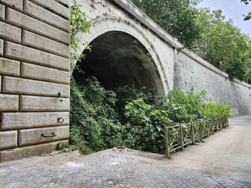 Cloaca Maxima outlet into the Tiber river, a short distance south of Ponte Palatino, the Palatine Bridge.