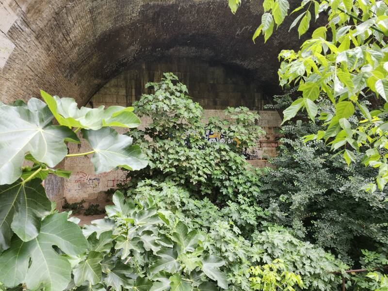 Cloaca Maxima outlet into the Tiber river.