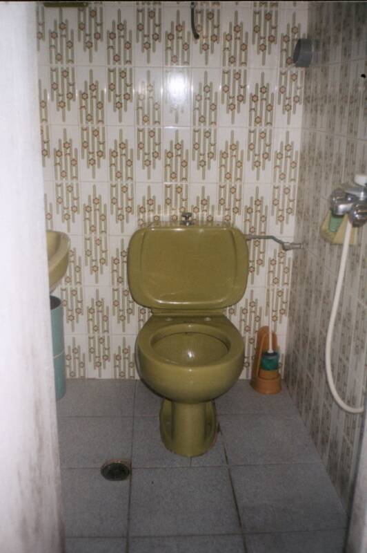 Avacado green toilet in a domatia on the Greek island of Samos.