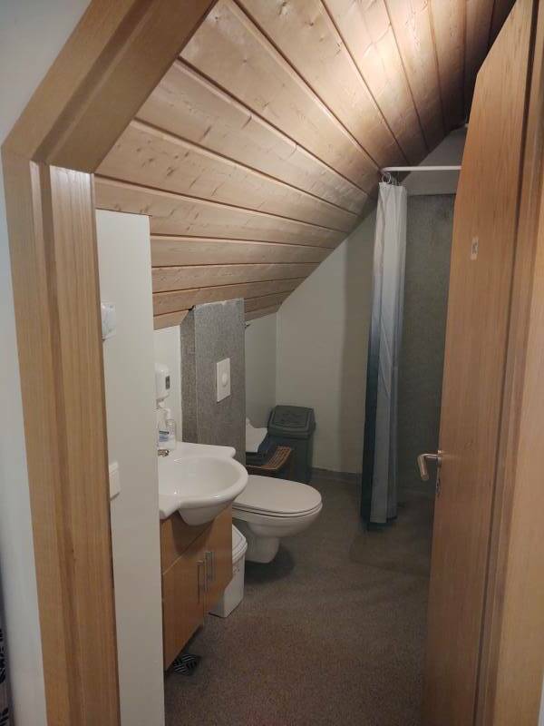 Shared bathroom at the Skyhúsið Guesthouse in Hali.