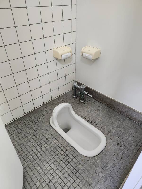 1950s floor pan or squat toilet.