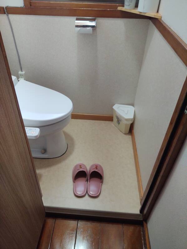 Toilet slippers.