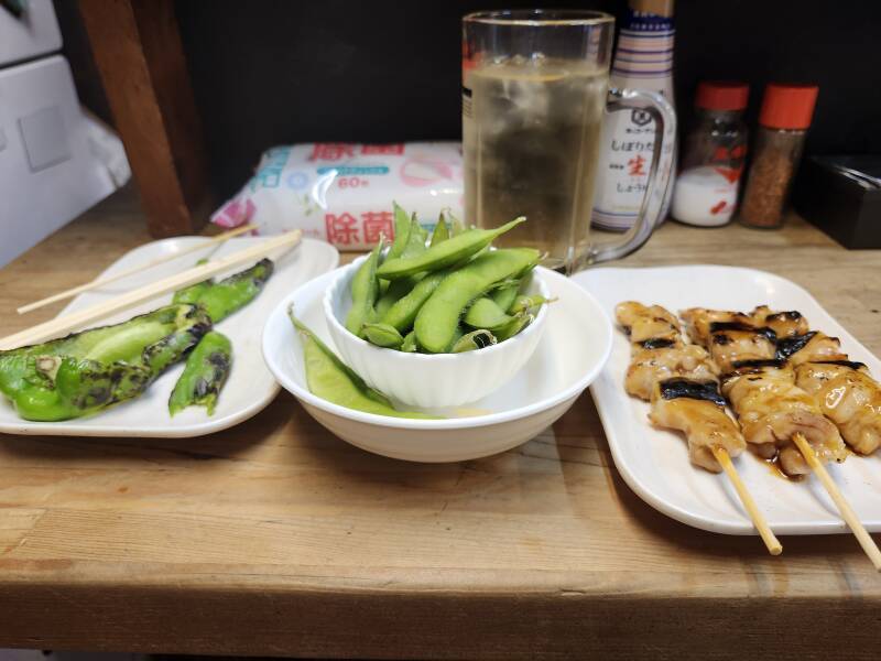 Lunch in Omoide Yokochō or 'Memory Alley' on the north side of Shinjuku Station.