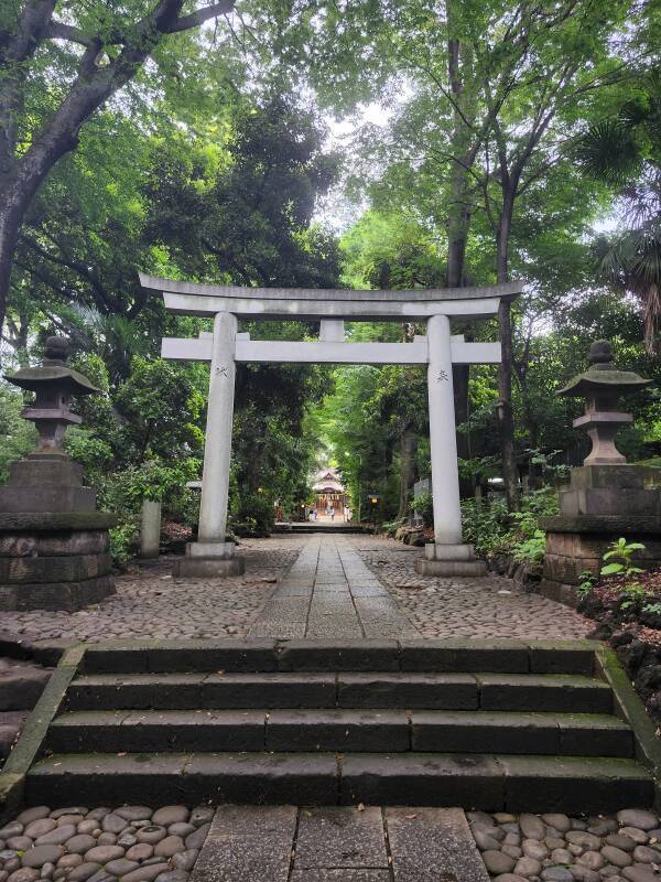 Torii and path to Yoyogi Hachiman-gu.