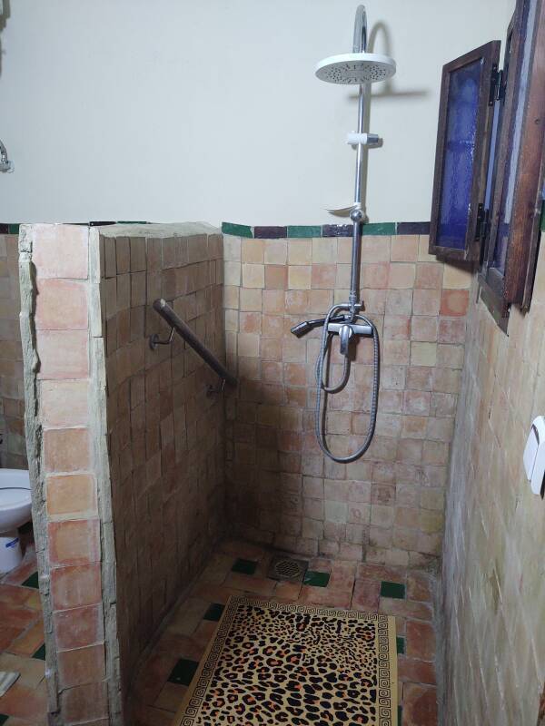 Toilet and shower at a riad-style guesthouse in the medina in Meknès.