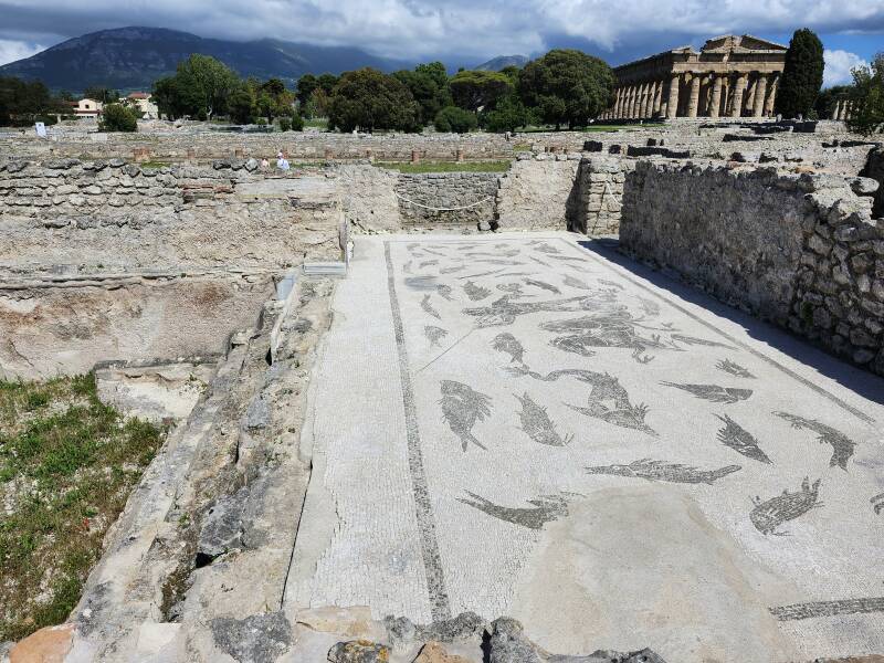 Aquatic-themed mosaic, pool to the left, temples in the distance to the right.