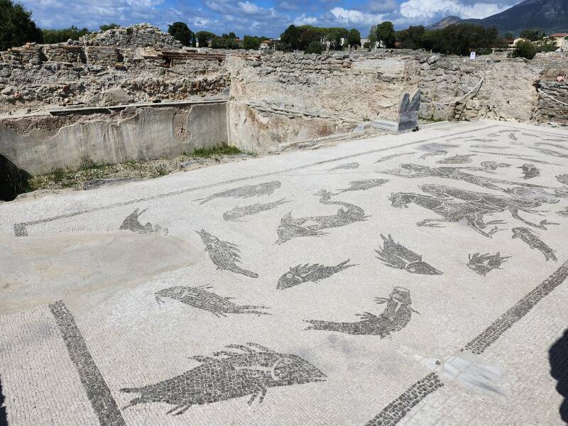 Aquatic-themed mosaic beside a smaller pool.