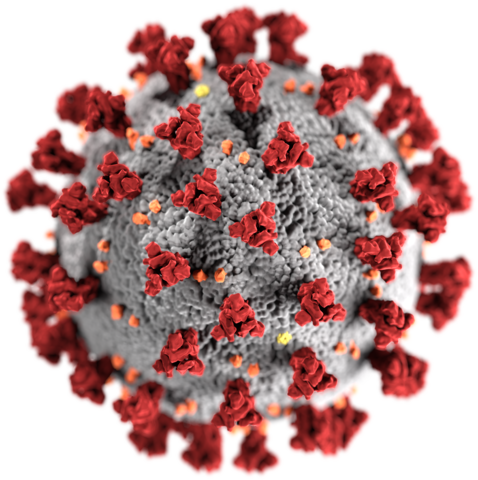 Illustration of SARS-CoV-2 coronavirus created at the US Centers for Disease Control and Prevention, from https://en.wikipedia.org/wiki/File:SARS-CoV-2_without_background.png