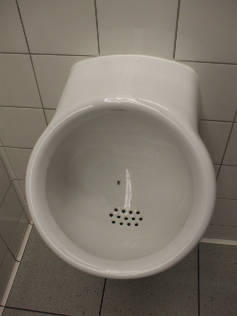 Amsterdam airport urinal.