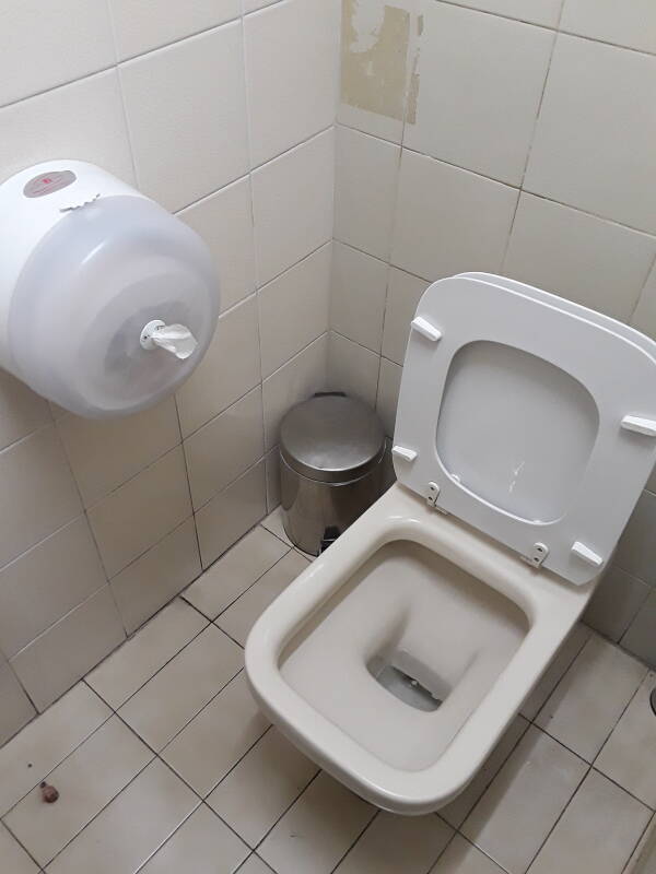 Toilet and large toilet paper roll in Athens.