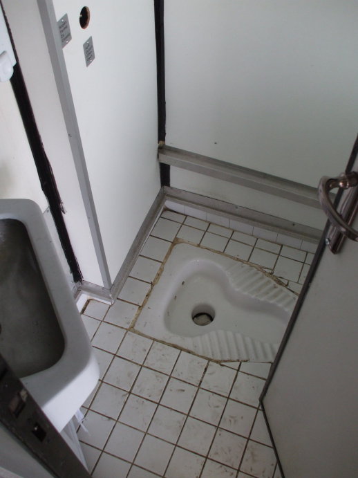 Squat toilet on board a Turkish sleeper car on a train crossing Bulgaria from Istanbul to Bucharest.