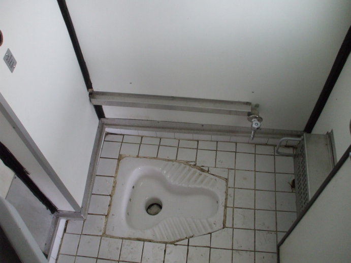 Squat toilet on board a Turkish sleeper car on a train crossing Bulgaria from Istanbul to Bucharest.