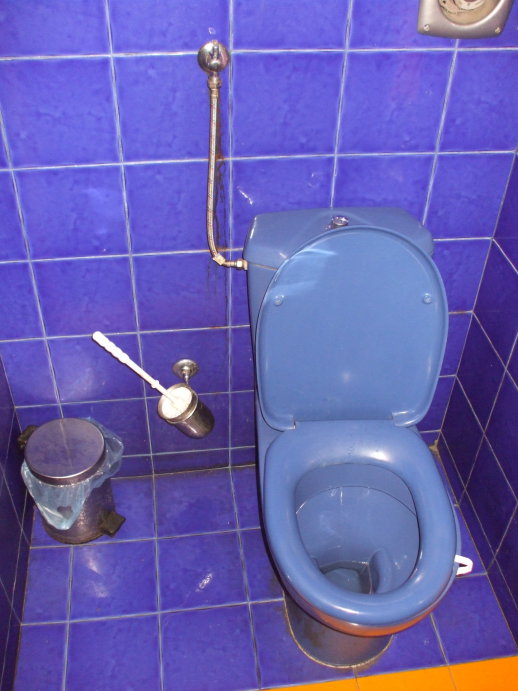 Sparkling clean bright blue toilet and shower area at Be My Guest hostel in Sofia.
