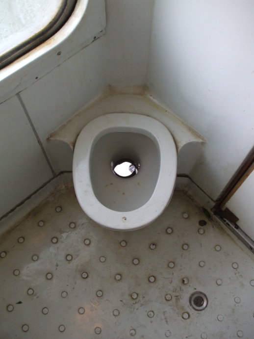 You can see down the waste pipe on this toilet on board a Bulgarian train from Sofia to Varna via Gorna Oryahovitsa.