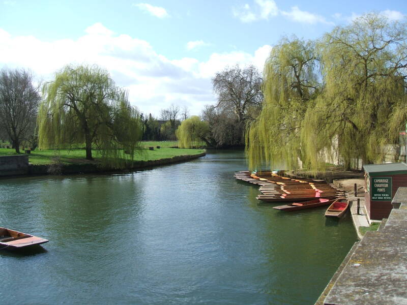 Punts, flat-bottomed boats in the River Cam.
