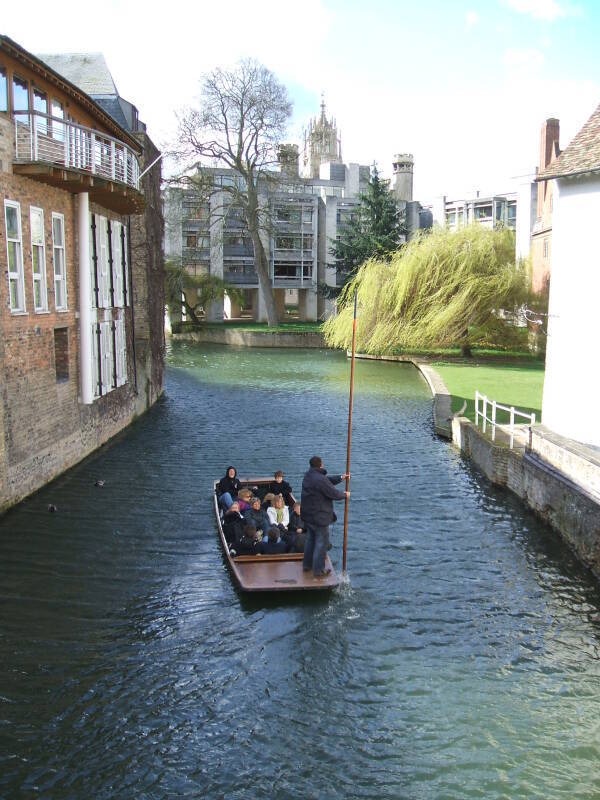 Visitors being poled in a punt through a waterway in Cambridge.