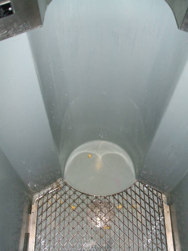 Cambridge University park urinal.