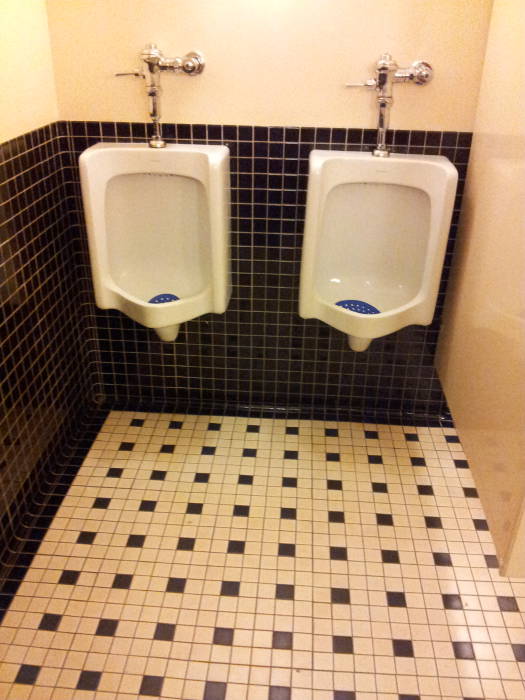 Urinals in the Bell Canada building in Ottawa.