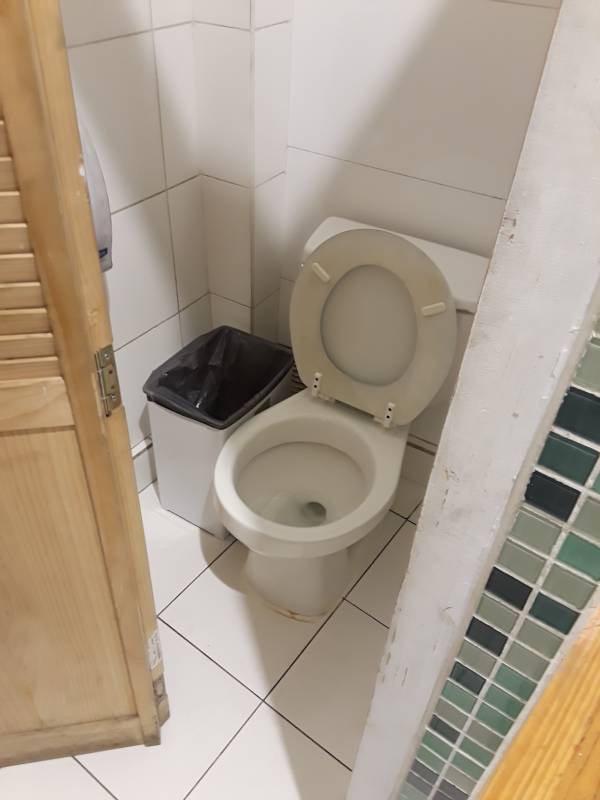 toilet picture
