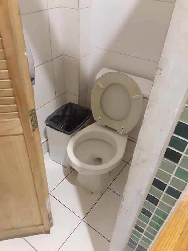 Do Toilets in Different Hemispheres Flush in Different Directions?