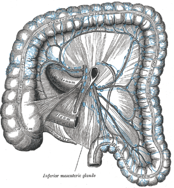 Gray's anatomy, lymphatics of colon.