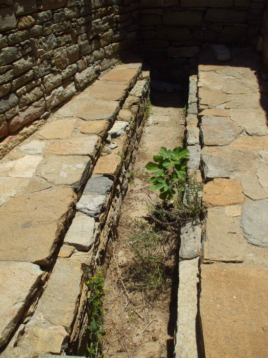 Latrine in the House of the Trident on Delos.