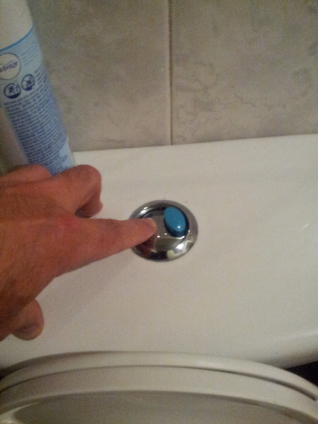 American dual-flush toilet flush button on the tank.