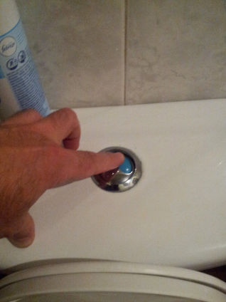 American dual-flush toilet flush button on the tank.