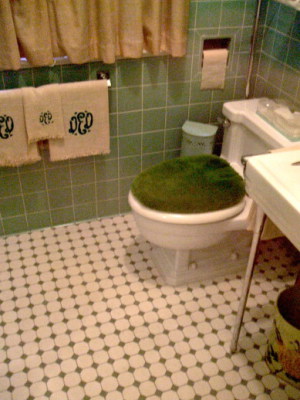 Dwight D Eisenhower's toilet at his home in Gettysburg, Pennsylvania.