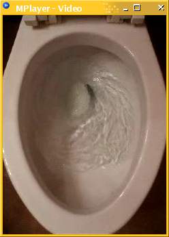Video frame from a downloadable MPEG movie of a flushing toilet.