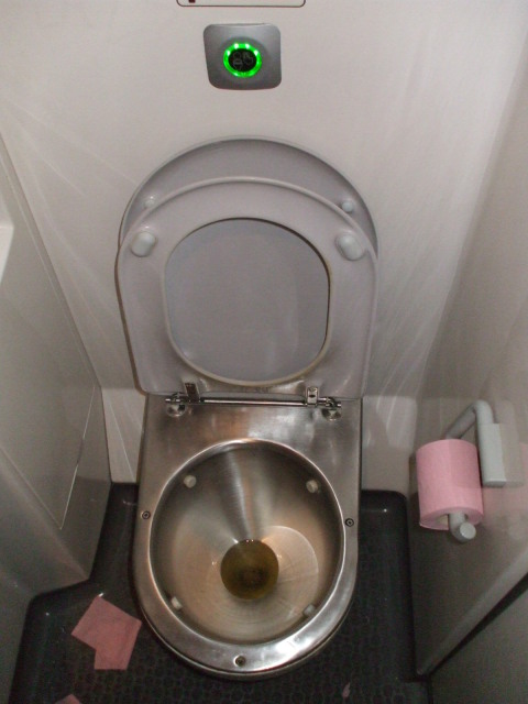 French RER regional train toilet.