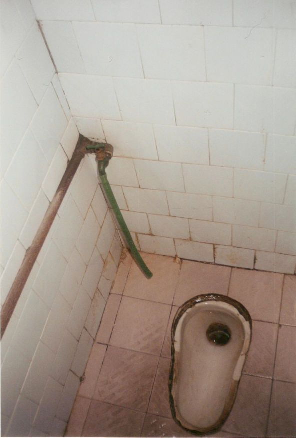 What Bathrooms Look Like Around the World