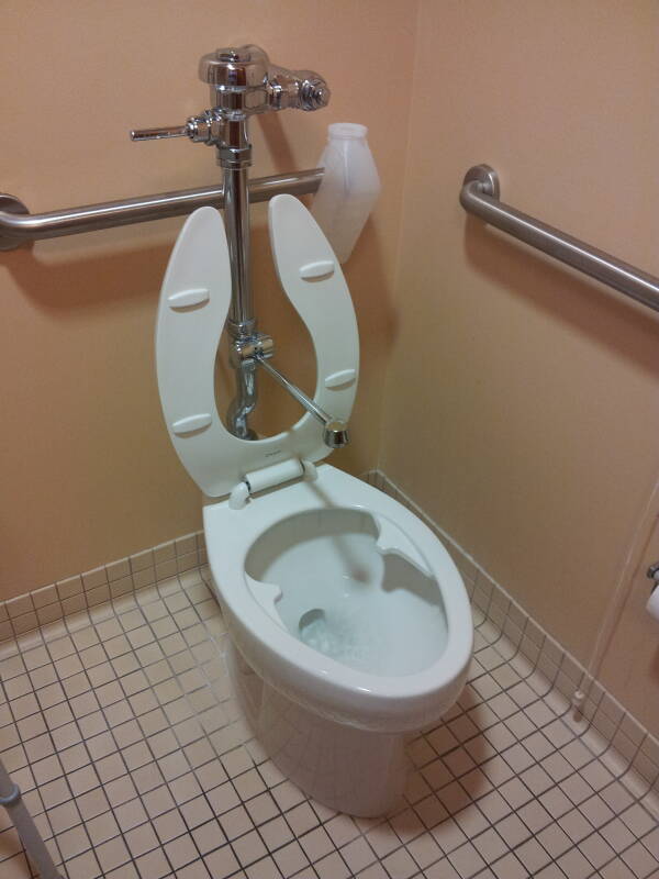 Hospital toilet with bedpan cleaning attachment.