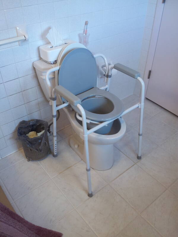 bedside commode over toilet