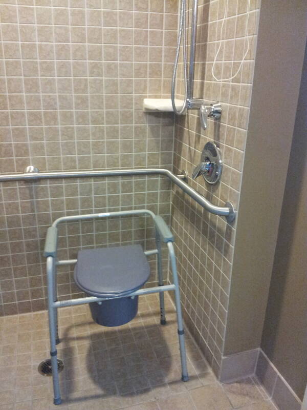 Hospital shower handrails and call cord, with 'three-in-one' portable toilet unit.