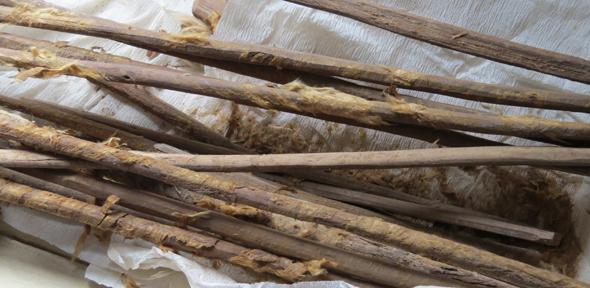 Hygiene sticks, from http://www.cam.ac.uk/research/discussion/opinion-how-we-discovered-infectious-diseases-in-2000-year-old-faeces-from-the-silk-road