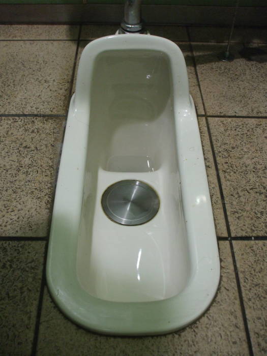 Dual-flush squat toilet at Kamakura train station.