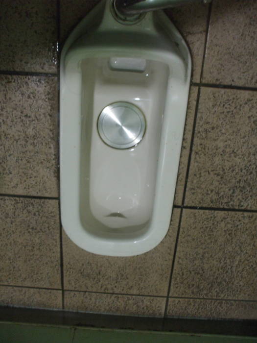 Dual-flush squat toilet at Kamakura train station.